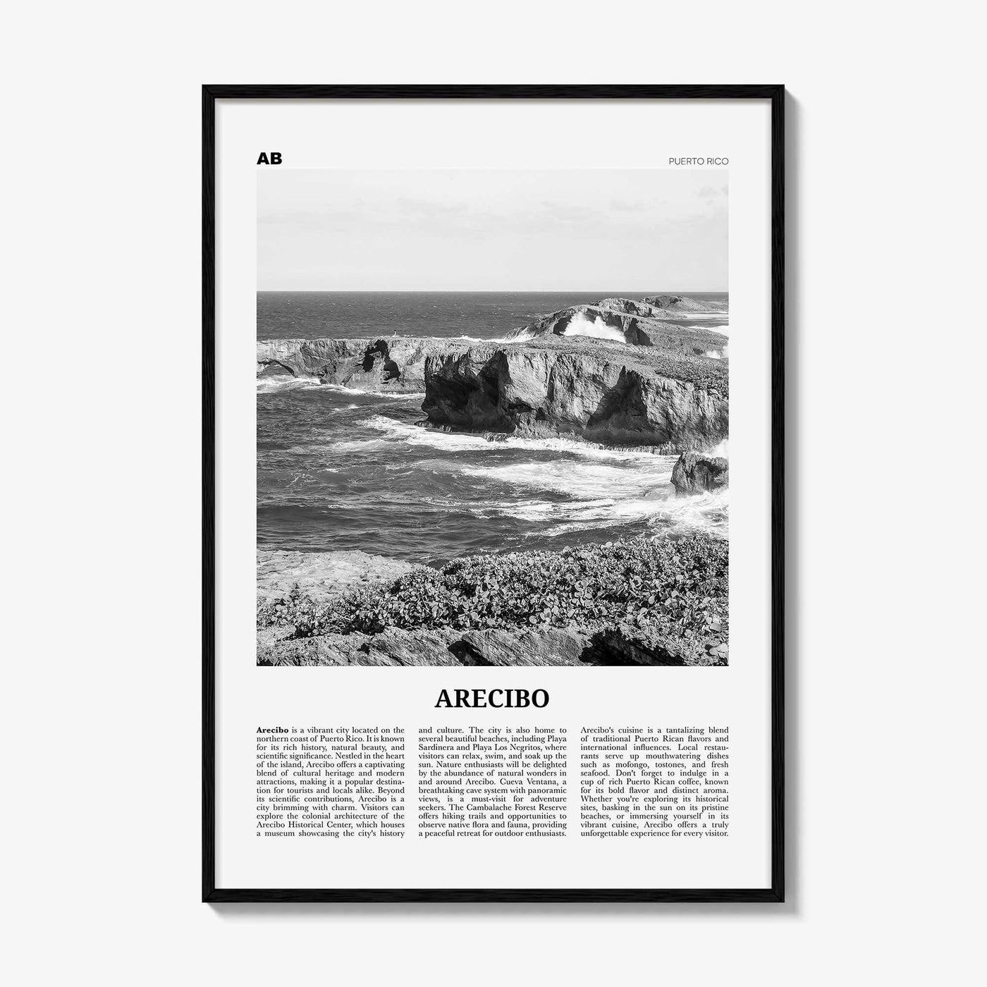 Arecibo Print Black and White No 2, Arecibo Wall Art, Arecibo Poster, Arecibo Photo, Arecibo Wall Décor, Arecibo Map, Puerto Rico