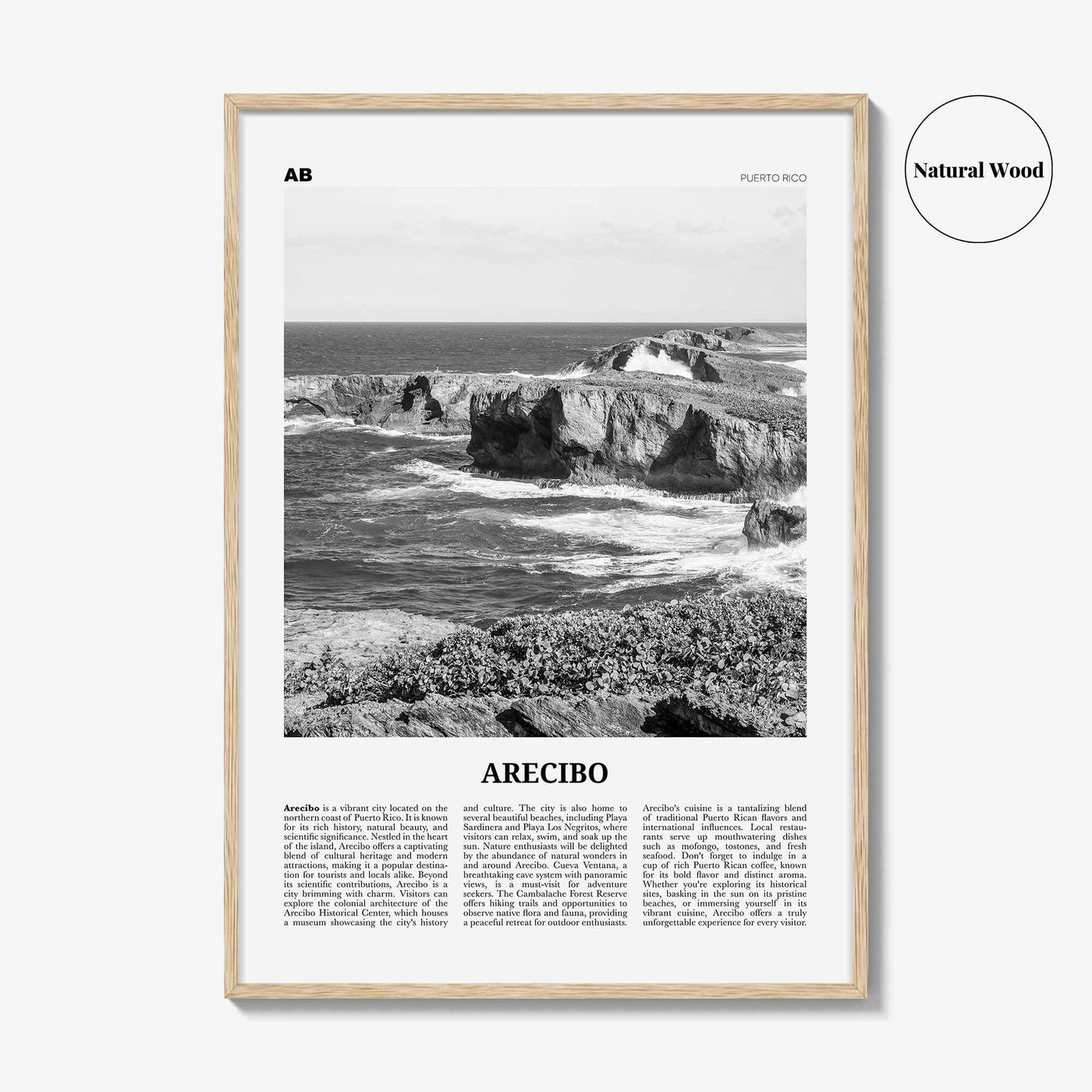 Arecibo Print Black and White No 2, Arecibo Wall Art, Arecibo Poster, Arecibo Photo, Arecibo Wall Décor, Arecibo Map, Puerto Rico