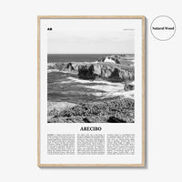 Arecibo Print Black and White No 2, Arecibo Wall Art, Arecibo Poster, Arecibo Photo, Arecibo Wall Décor, Arecibo Map, Puerto Rico