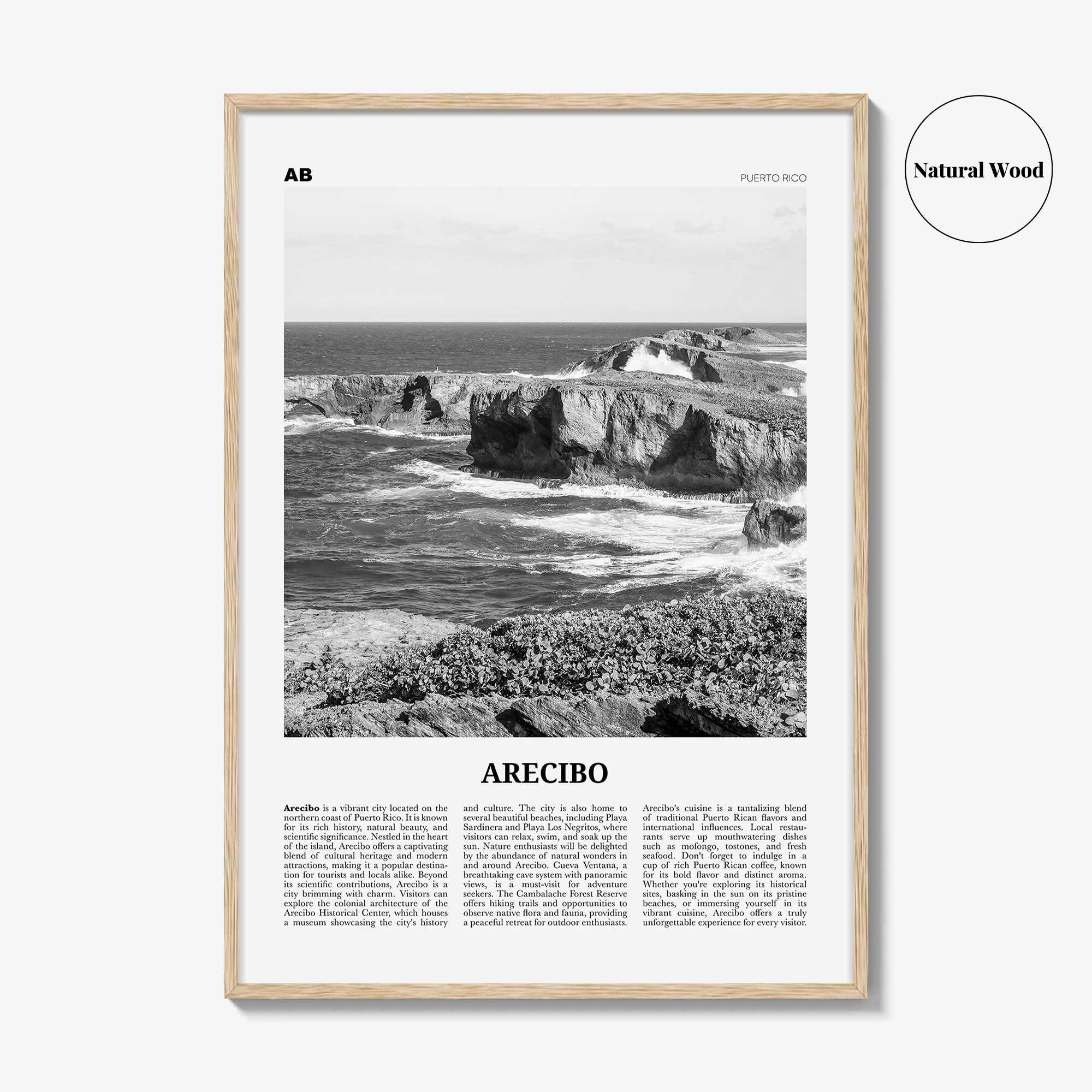 Arecibo Print Black and White No 2, Arecibo Wall Art, Arecibo Poster, Arecibo Photo, Arecibo Wall Décor, Arecibo Map, Puerto Rico