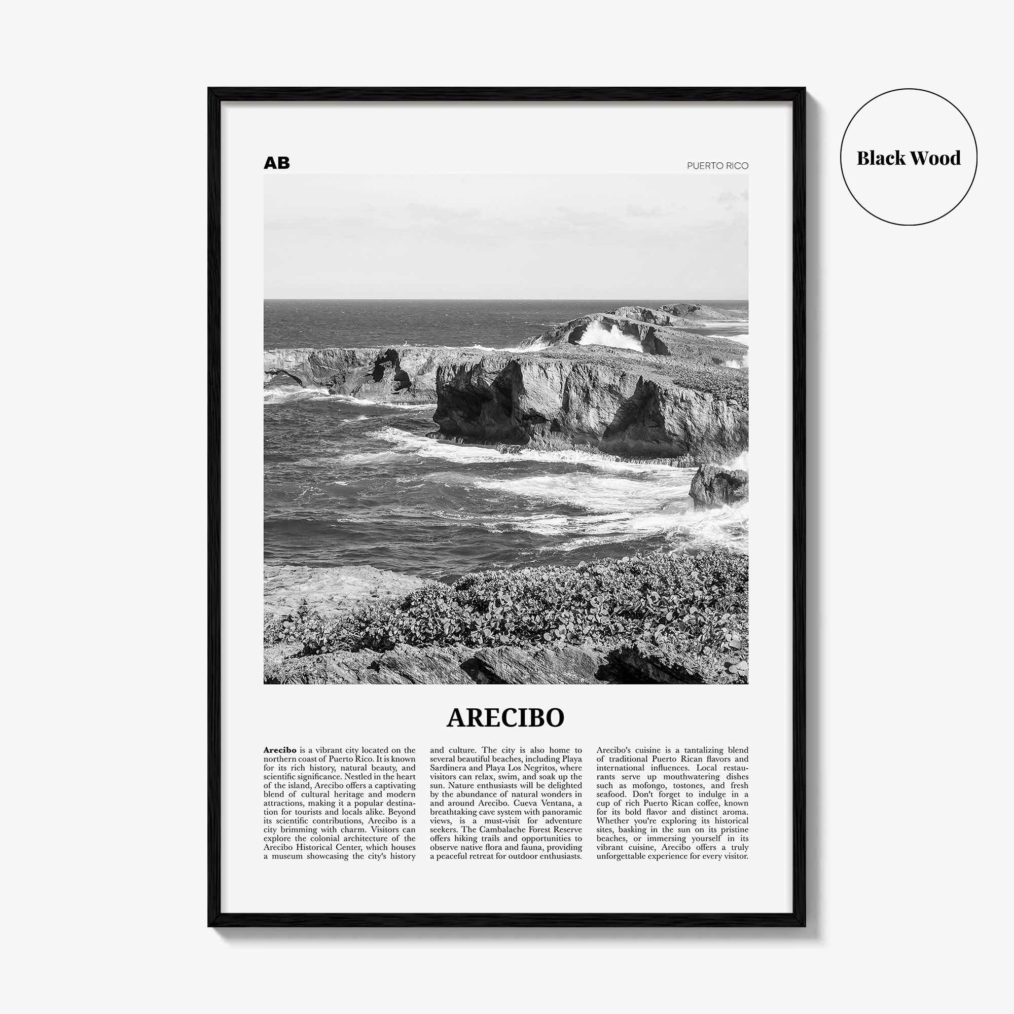 Arecibo Print Black and White No 2, Arecibo Wall Art, Arecibo Poster, Arecibo Photo, Arecibo Wall Décor, Arecibo Map, Puerto Rico