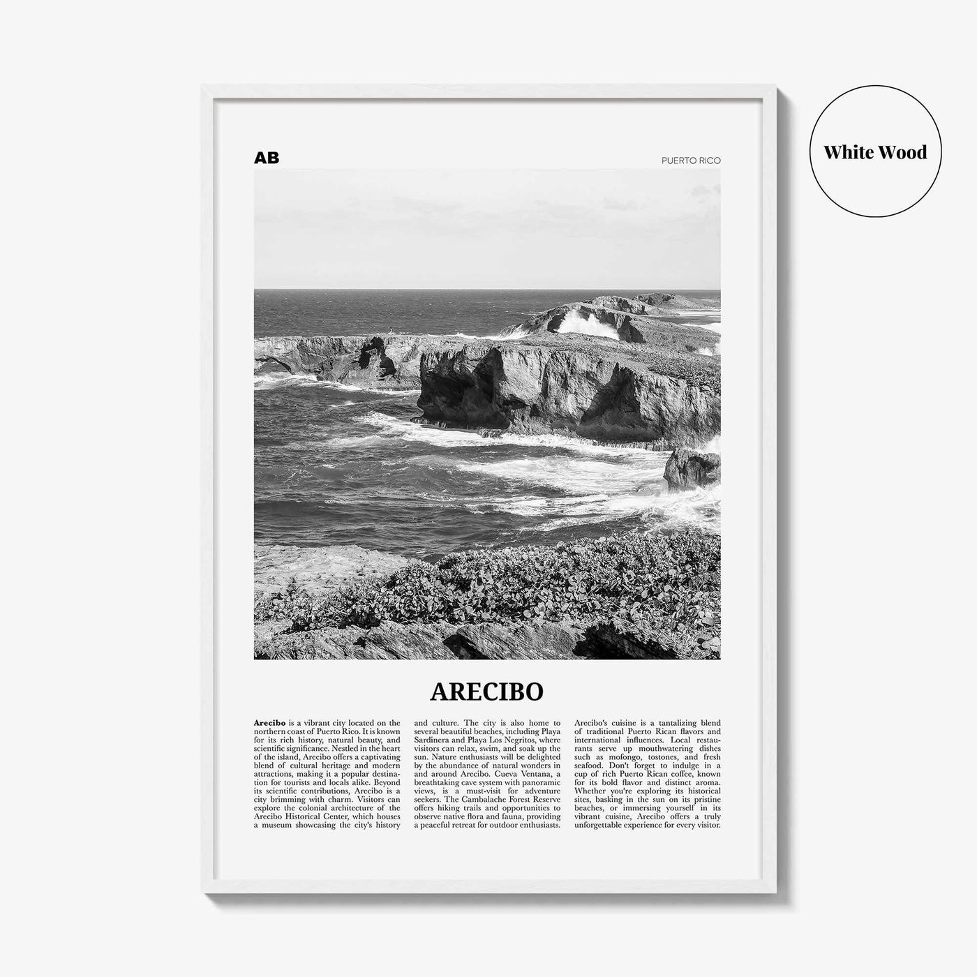 Arecibo Print Black and White No 2, Arecibo Wall Art, Arecibo Poster, Arecibo Photo, Arecibo Wall Décor, Arecibo Map, Puerto Rico