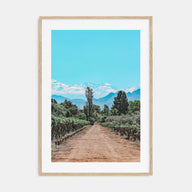 Argentina Photo Color Poster