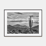 Arizona Landscape B&W No 2 Poster