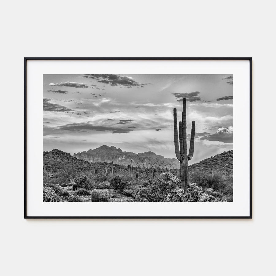 Arizona Landscape B&W No 2 Poster