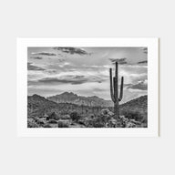 Arizona Landscape B&W No 2 Poster
