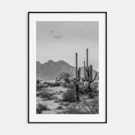 Arizona Photo B&W No 1 Poster