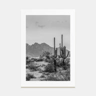 Arizona Photo B&W No 1 Poster
