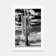 Arizona Photo B&W No 2 Poster