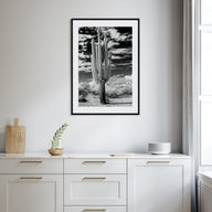 Arizona Photo B&W No 2 Poster