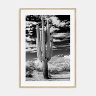 Arizona Photo B&W No 2 Poster