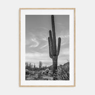 Arizona Photo B&W No 5 Poster