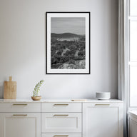 Arkansas Photo B&W No 1 Poster