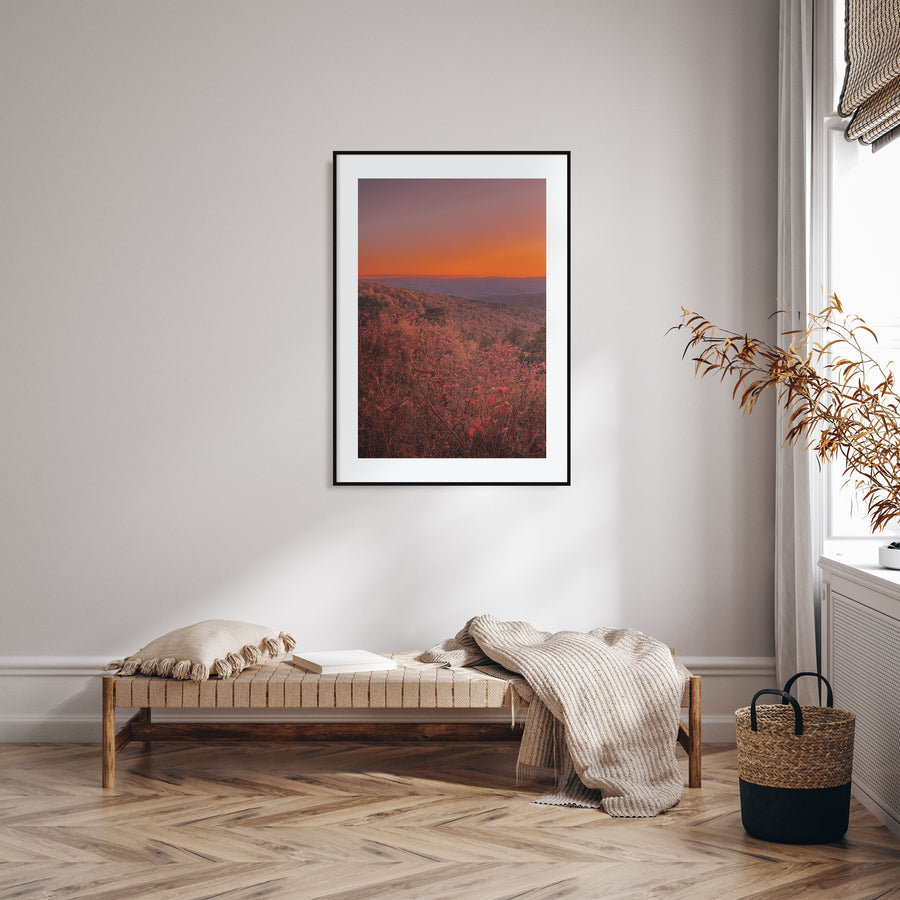 Arkansas Photo Color No 3 Poster