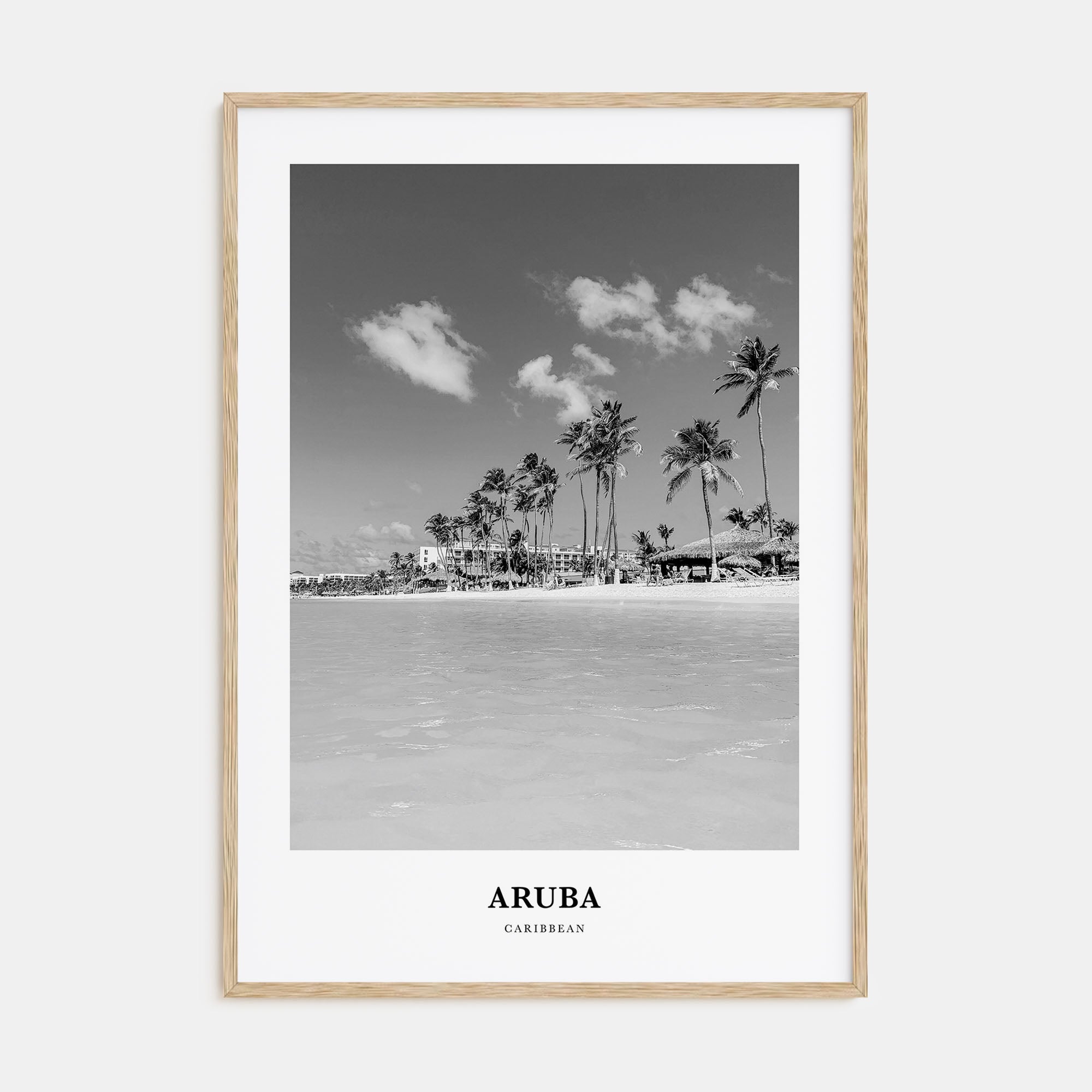 Aruba Portrait B&W No 1 Poster