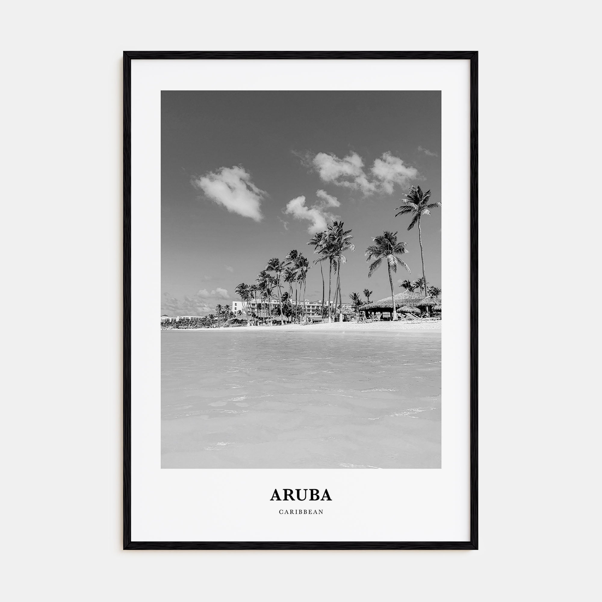 Aruba Portrait B&W No 1 Poster