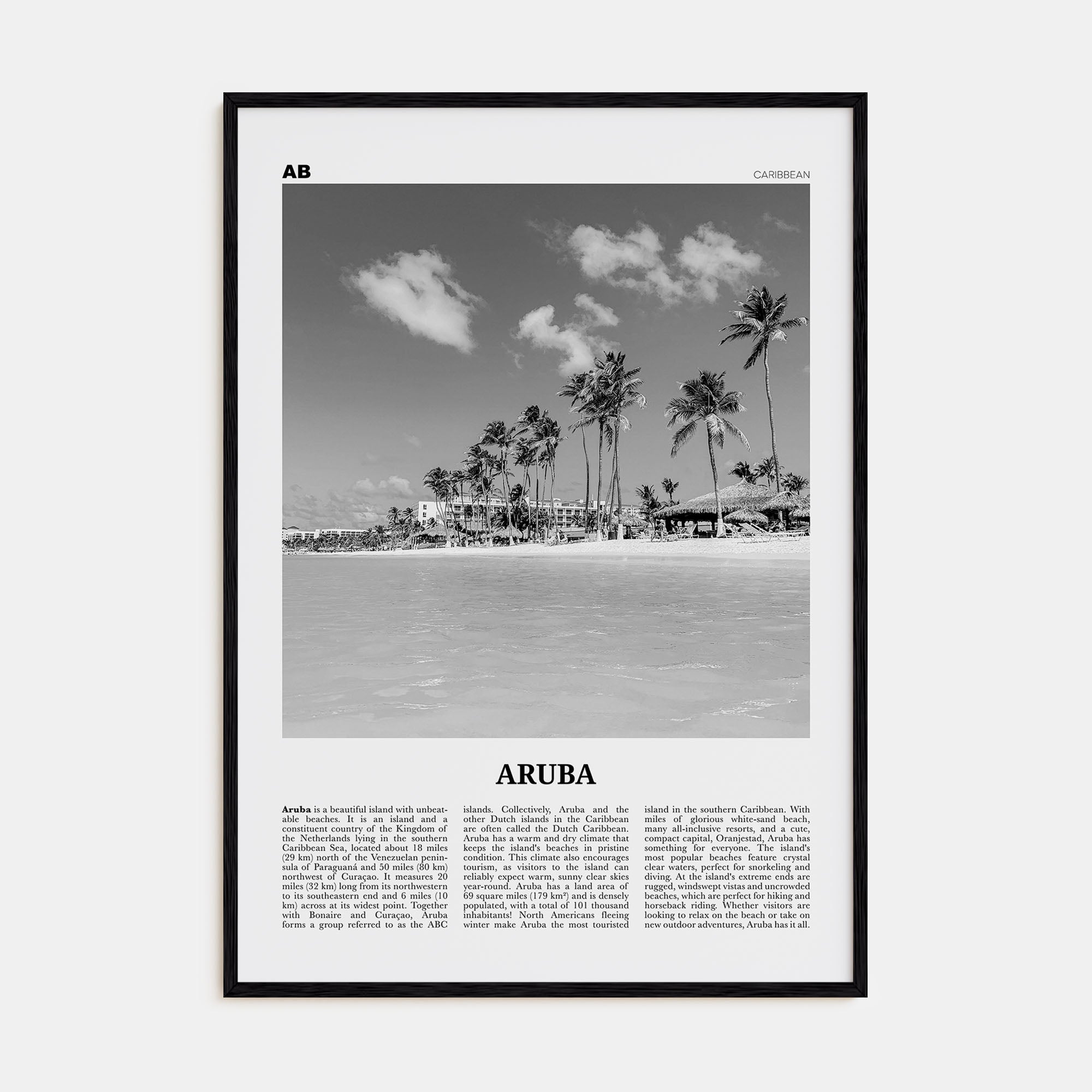 Aruba Travel B&W No 1 Poster