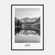 Aspen Portrait B&W Poster