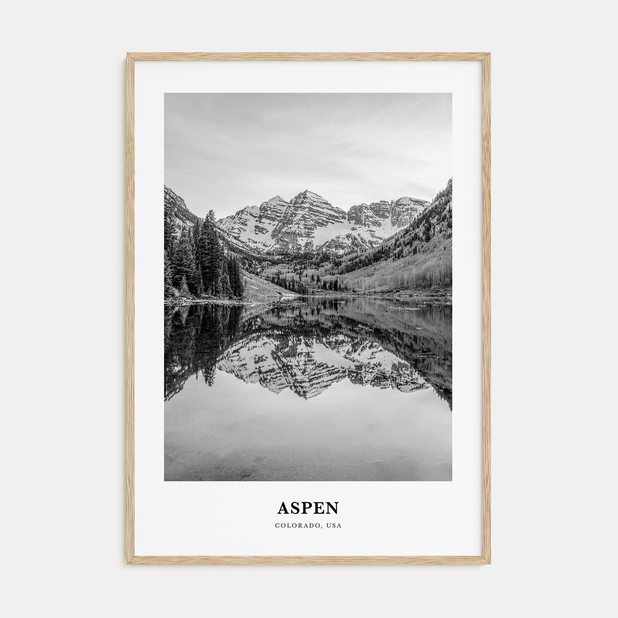 Aspen Portrait B&W Poster
