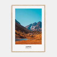 Aspen Portrait Color Poster