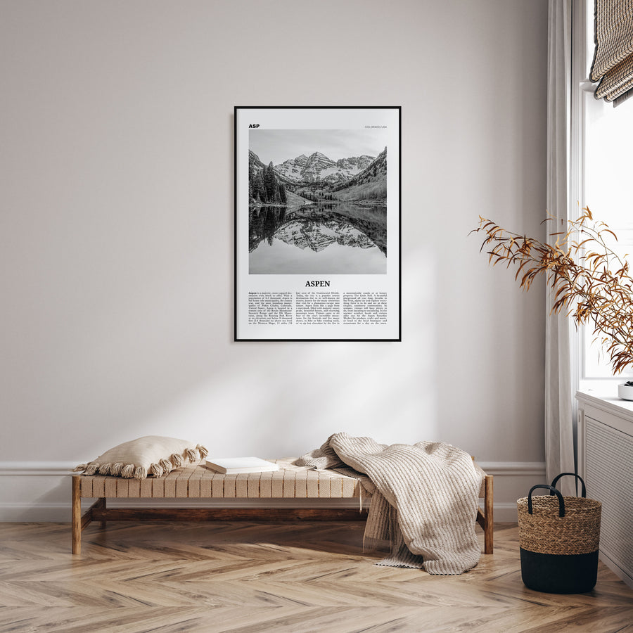 Aspen Travel B&W Poster