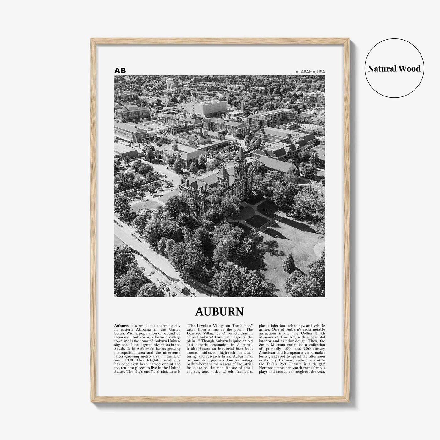 Auburn Print Black and White Alabama, Auburn Wall Art, Auburn Poster, Auburn Photo, Auburn Wall Décor, Alabama, United States, North America