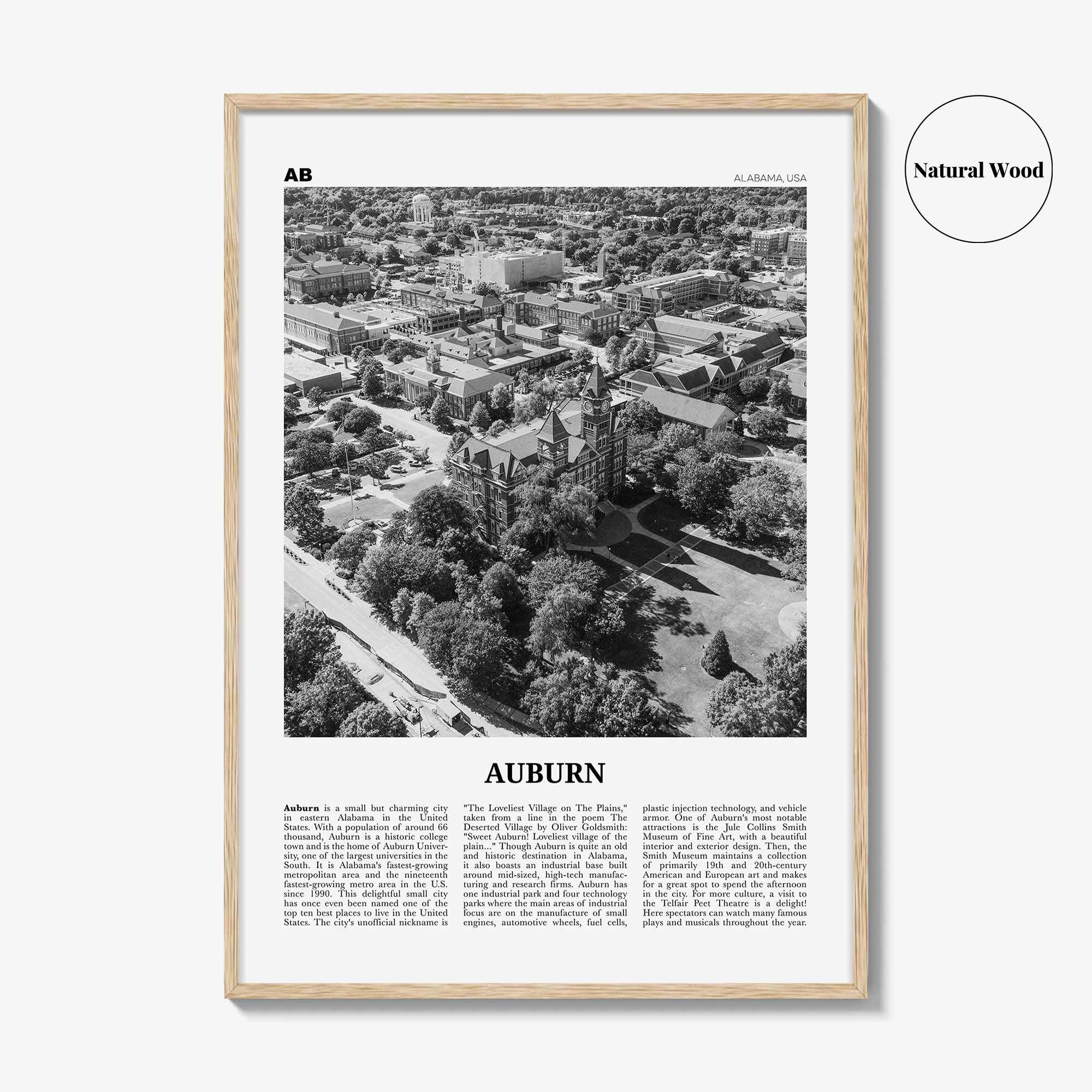 Auburn Print Black and White Alabama, Auburn Wall Art, Auburn Poster, Auburn Photo, Auburn Wall Décor, Alabama, United States, North America