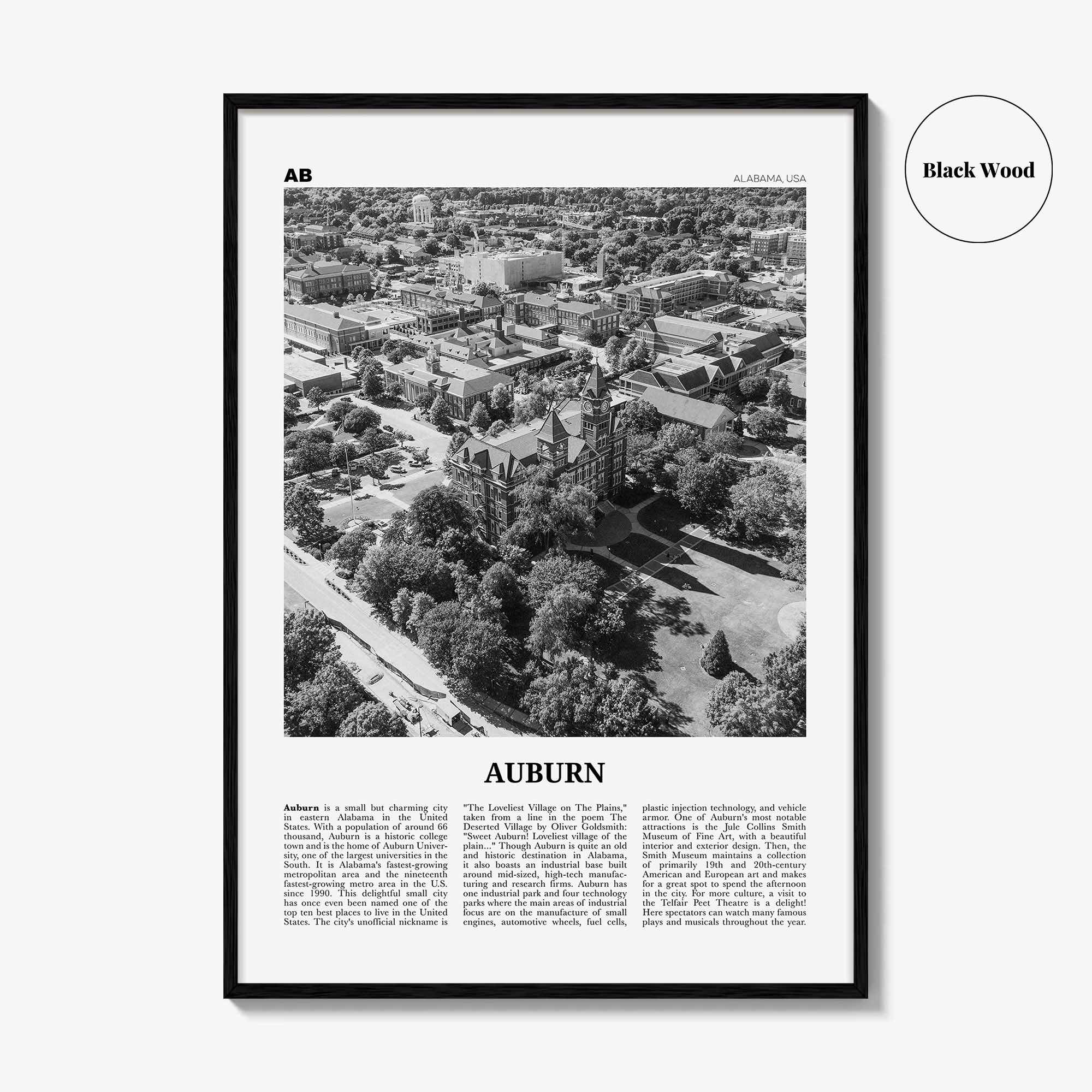 Auburn Print Black and White Alabama, Auburn Wall Art, Auburn Poster, Auburn Photo, Auburn Wall Décor, Alabama, United States, North America