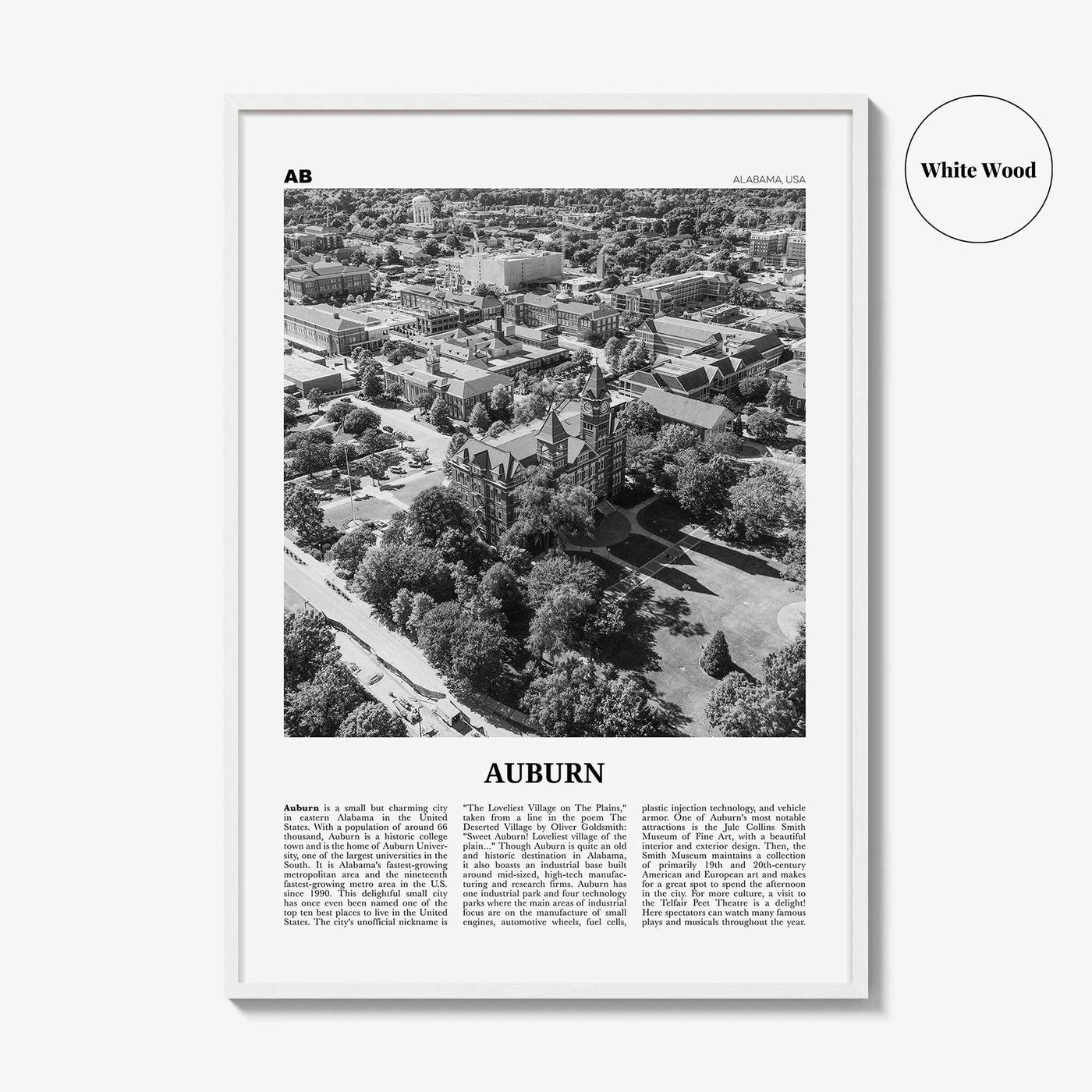 Auburn Print Black and White Alabama, Auburn Wall Art, Auburn Poster, Auburn Photo, Auburn Wall Décor, Alabama, United States, North America