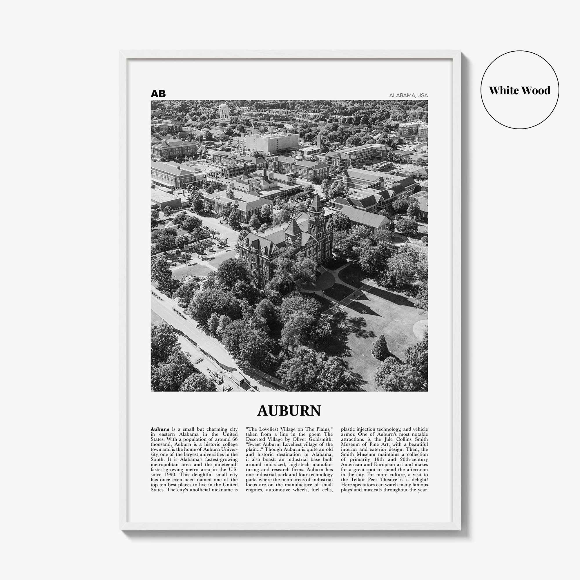 Auburn Print Black and White Alabama, Auburn Wall Art, Auburn Poster, Auburn Photo, Auburn Wall Décor, Alabama, United States, North America