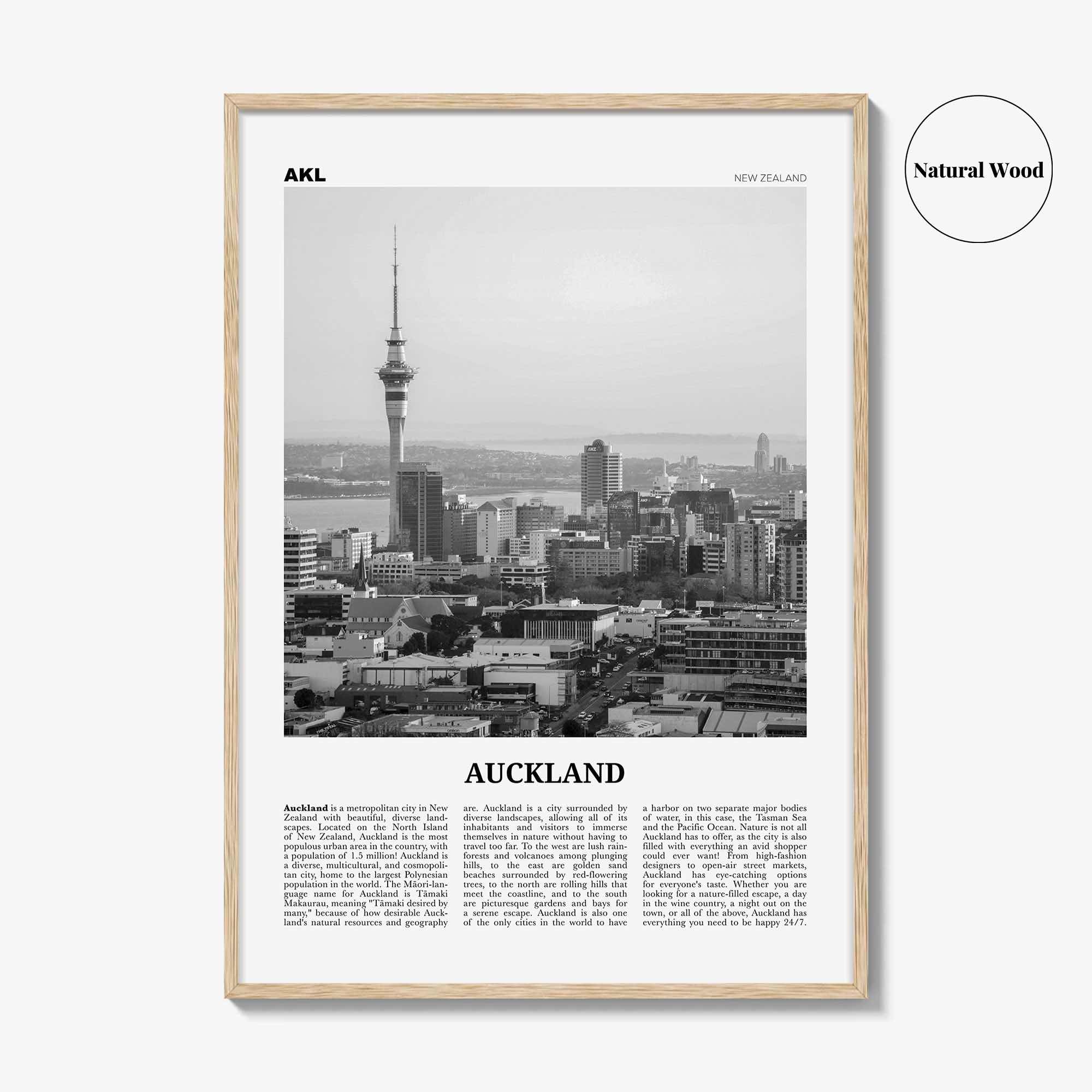 Auckland Print Black and White No 3, Auckland Wall Art, Auckland Poster, Auckland Photo, Auckland Wall Decor, New Zealand Poster Print