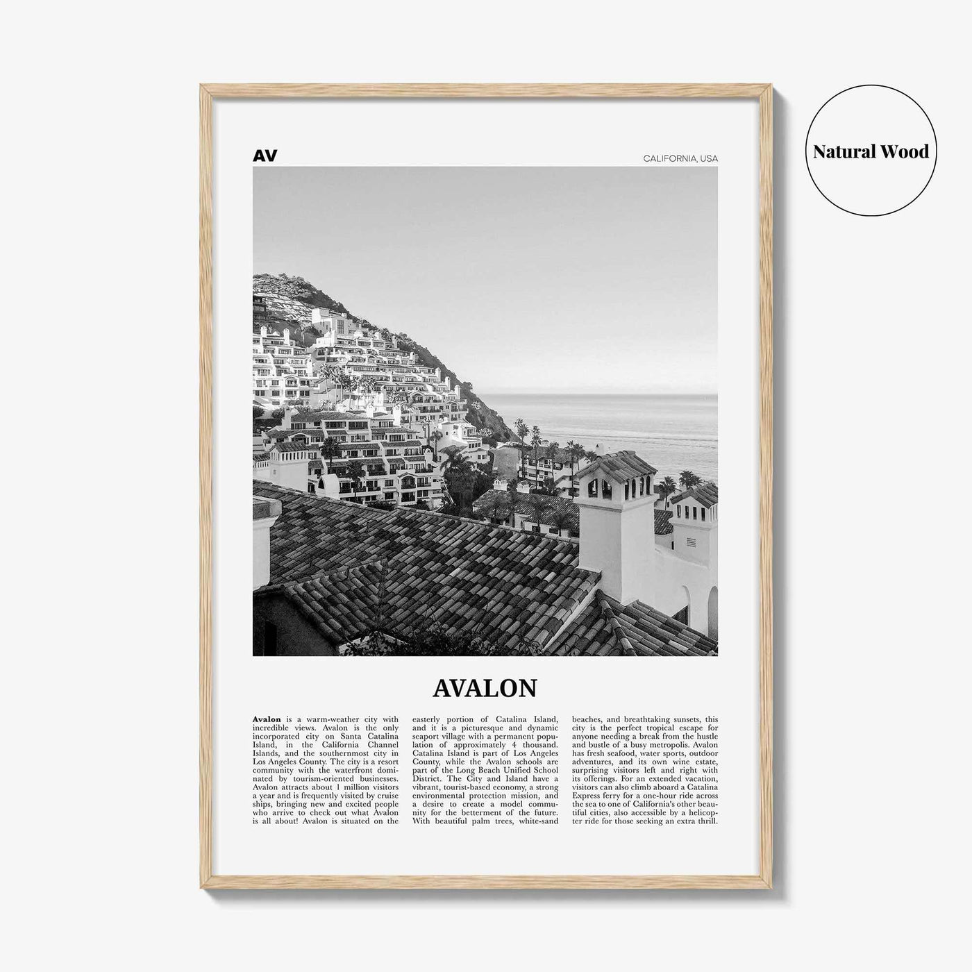 Avalon Print Black and White California, Avalon Wall Art, Avalon Poster, Avalon Photo, Santa Catalina, California, United States