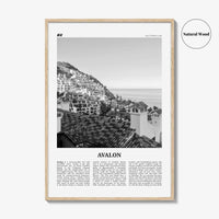 Avalon Print Black and White California, Avalon Wall Art, Avalon Poster, Avalon Photo, Santa Catalina, California, United States