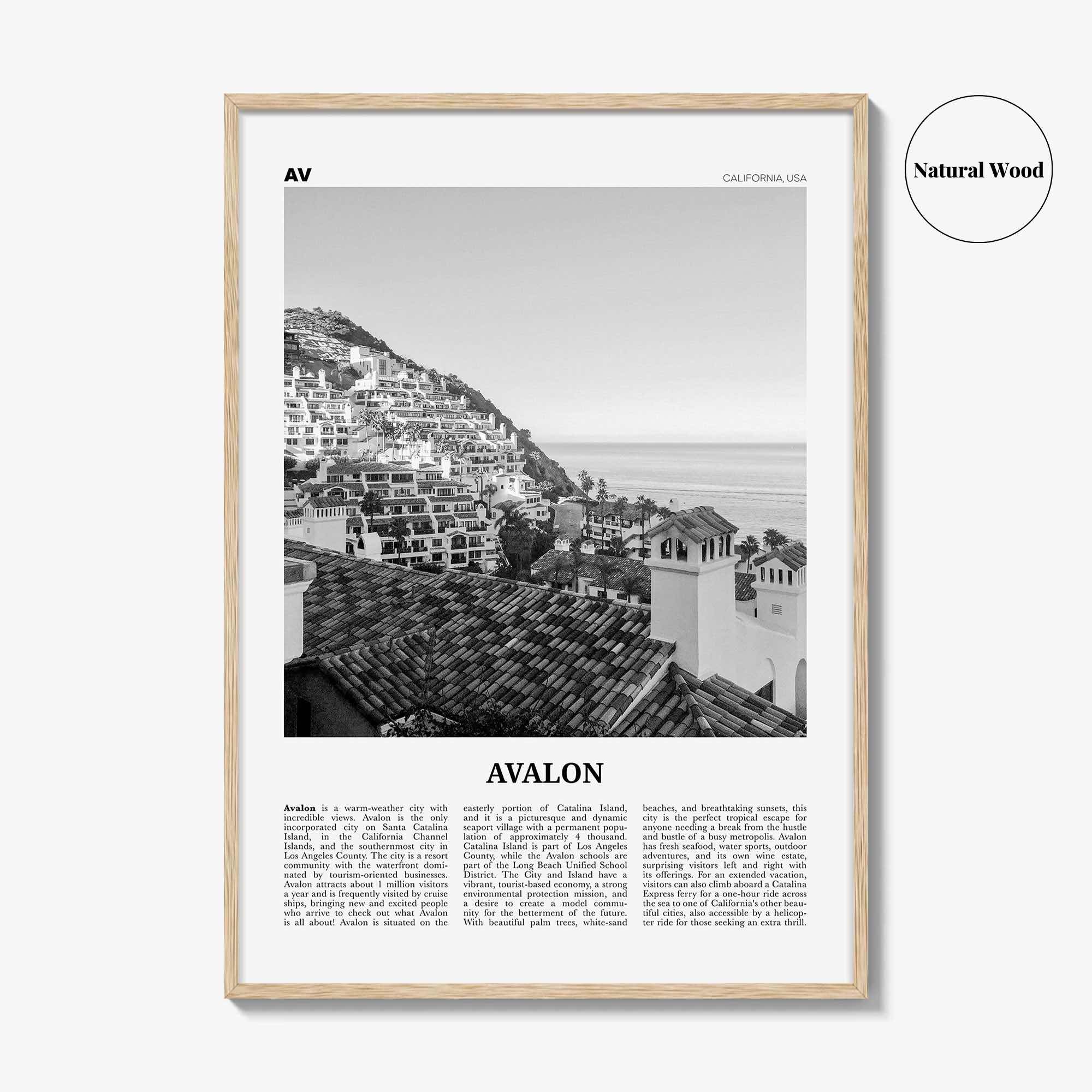 Avalon Print Black and White California, Avalon Wall Art, Avalon Poster, Avalon Photo, Santa Catalina, California, United States