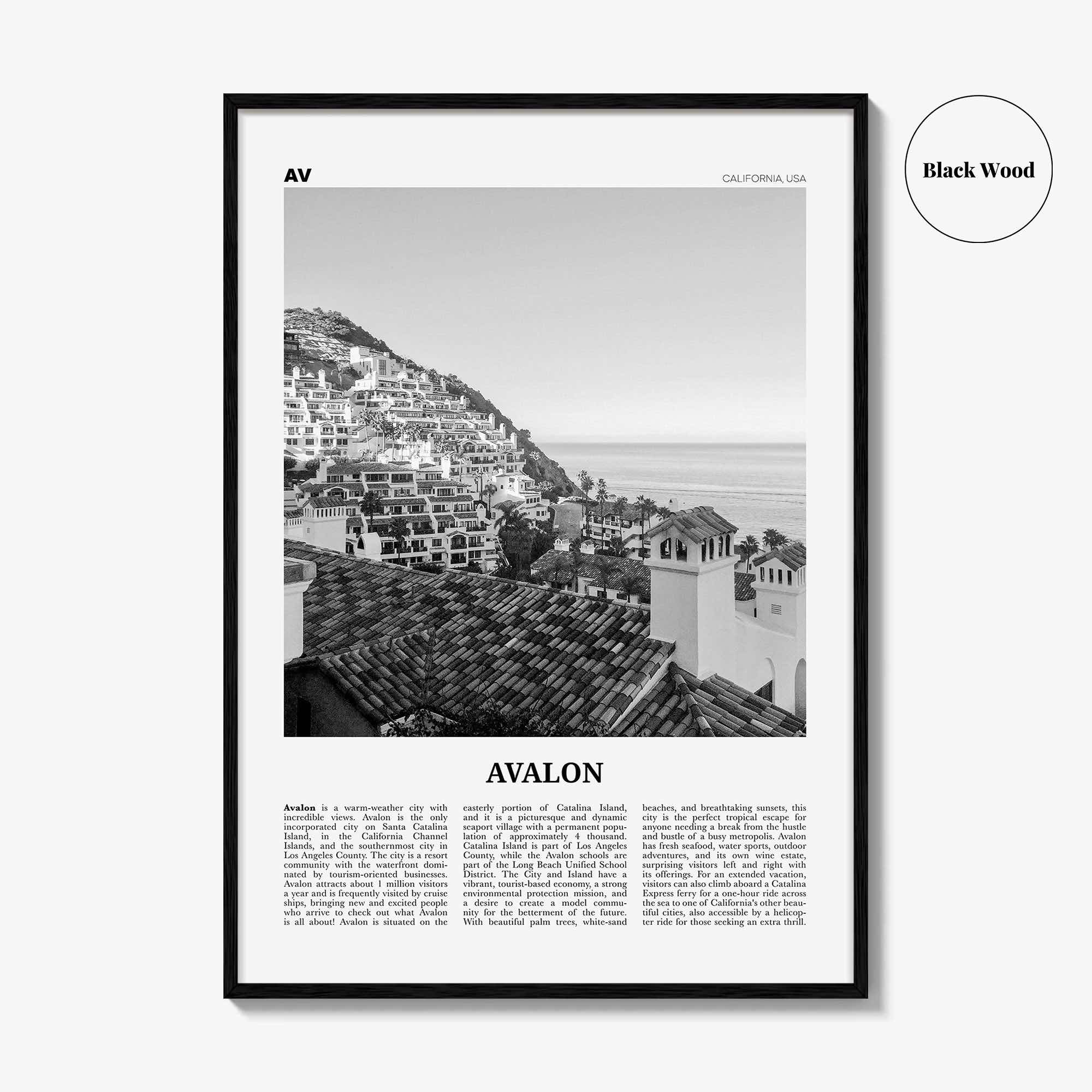 Avalon Print Black and White California, Avalon Wall Art, Avalon Poster, Avalon Photo, Santa Catalina, California, United States