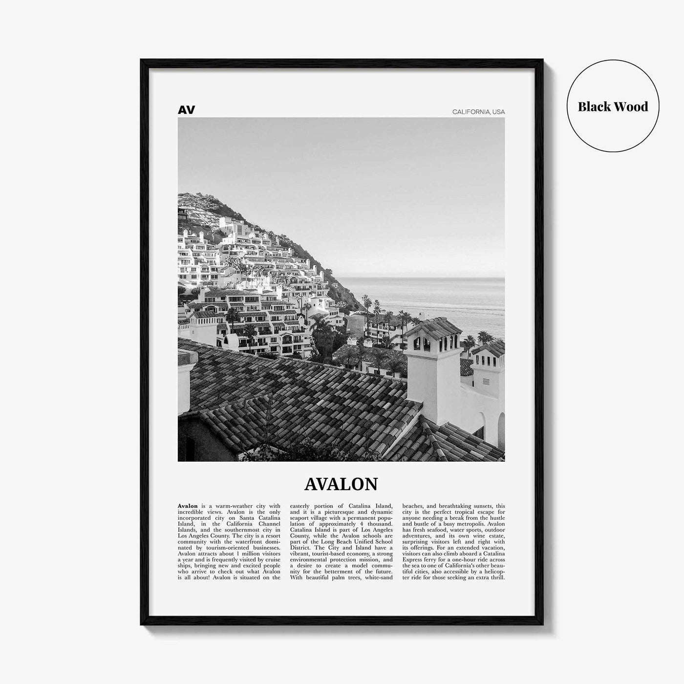 Avalon Print Black and White California, Avalon Wall Art, Avalon Poster, Avalon Photo, Santa Catalina, California, United States