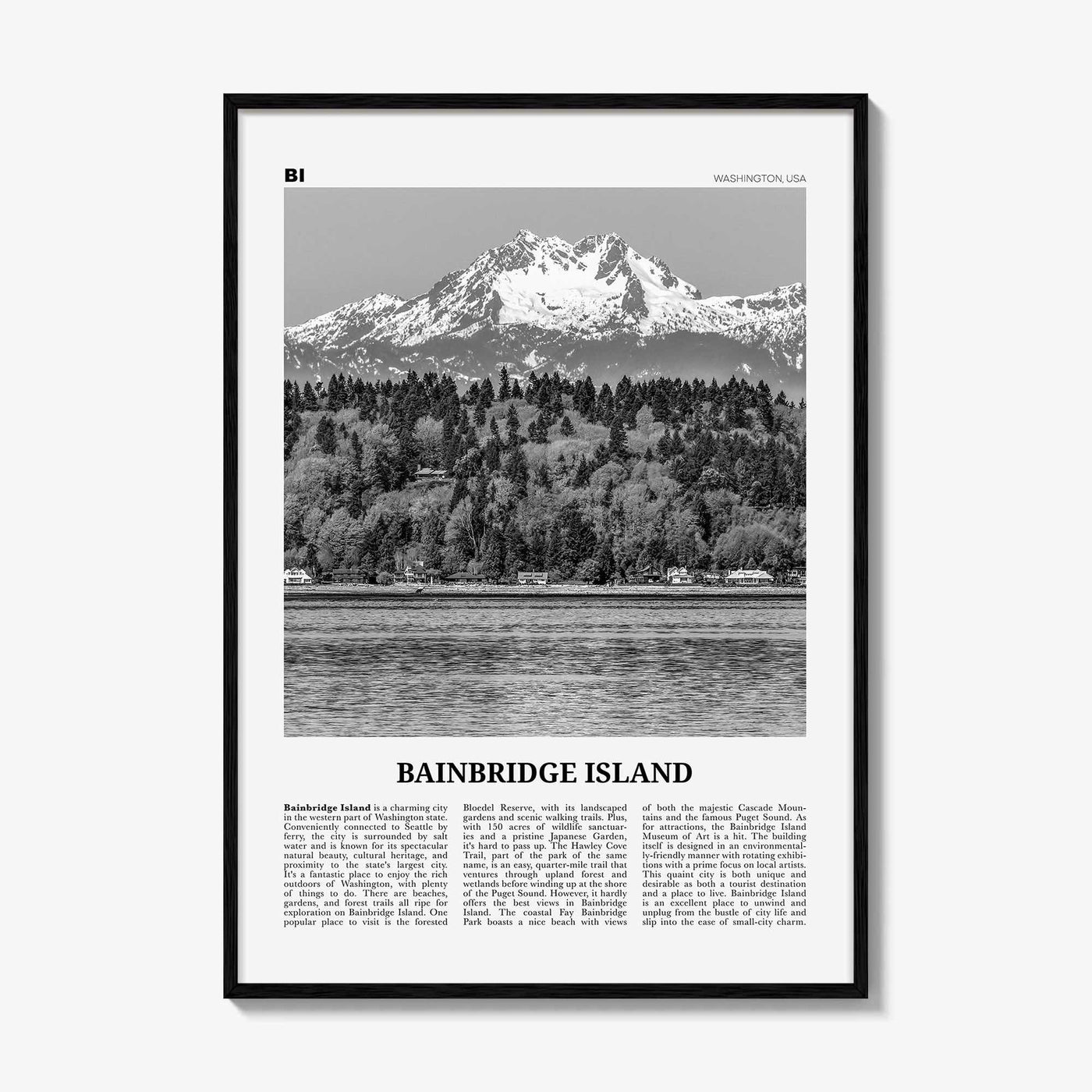 Bainbridge Island Print Black and White, Bainbridge Island Wall Art, Bainbridge Island Poster, Bainbridge Island Photo, Washington, USA
