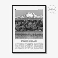 Bainbridge Island Print Black and White, Bainbridge Island Wall Art, Bainbridge Island Poster, Bainbridge Island Photo, Washington, USA