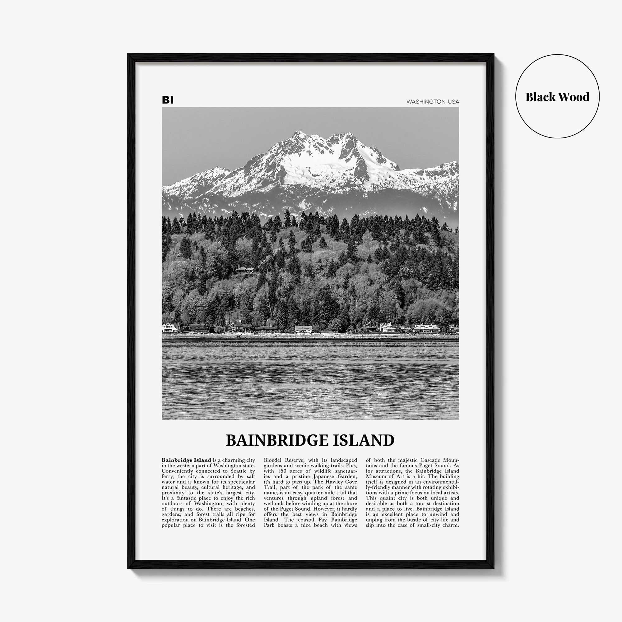 Bainbridge Island Print Black and White, Bainbridge Island Wall Art, Bainbridge Island Poster, Bainbridge Island Photo, Washington, USA
