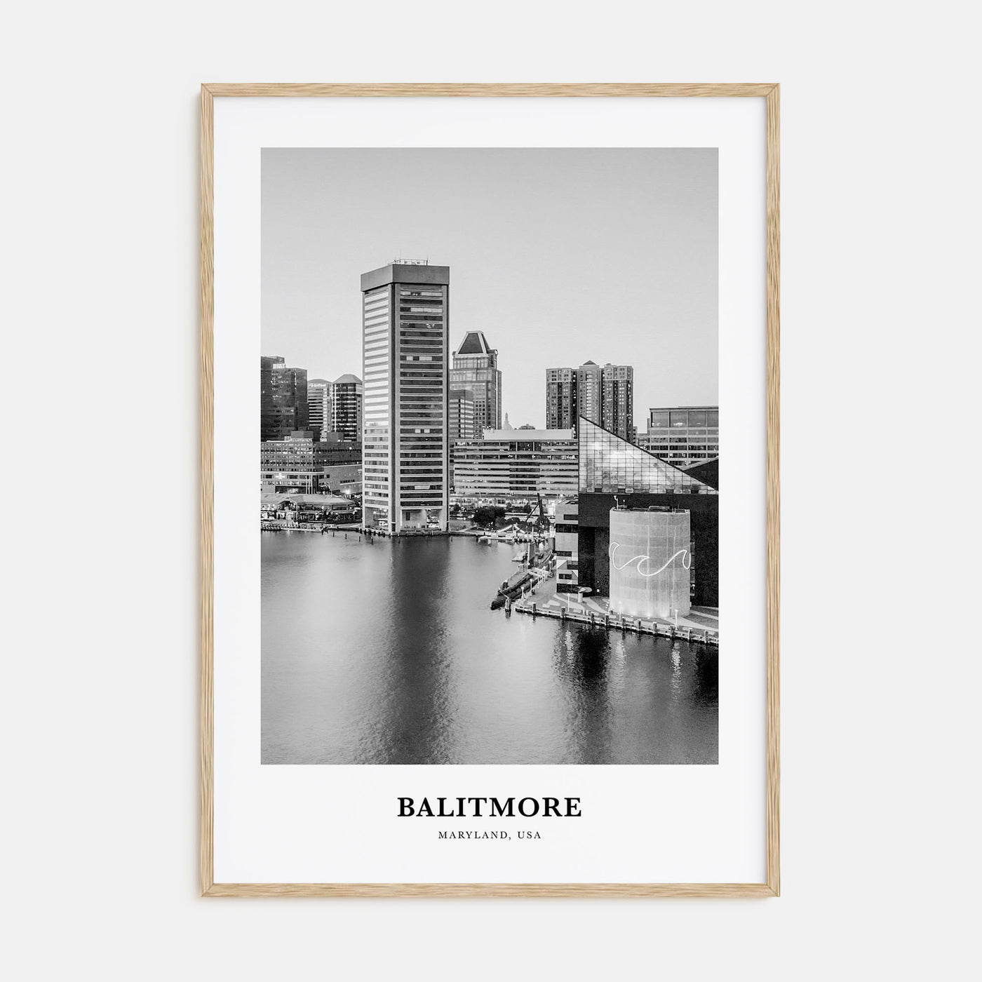 Baltimore Portrait B&W No 3 Poster