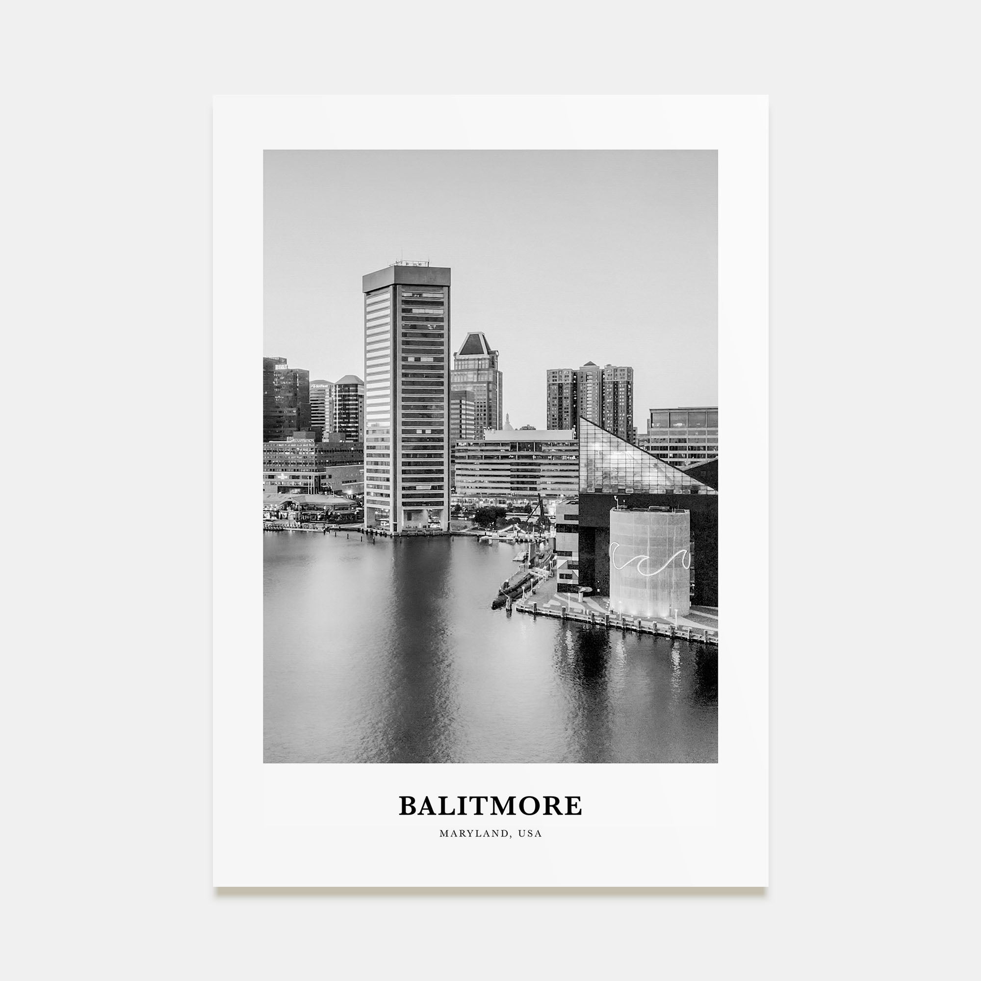 Baltimore Portrait B&W No 3 Poster