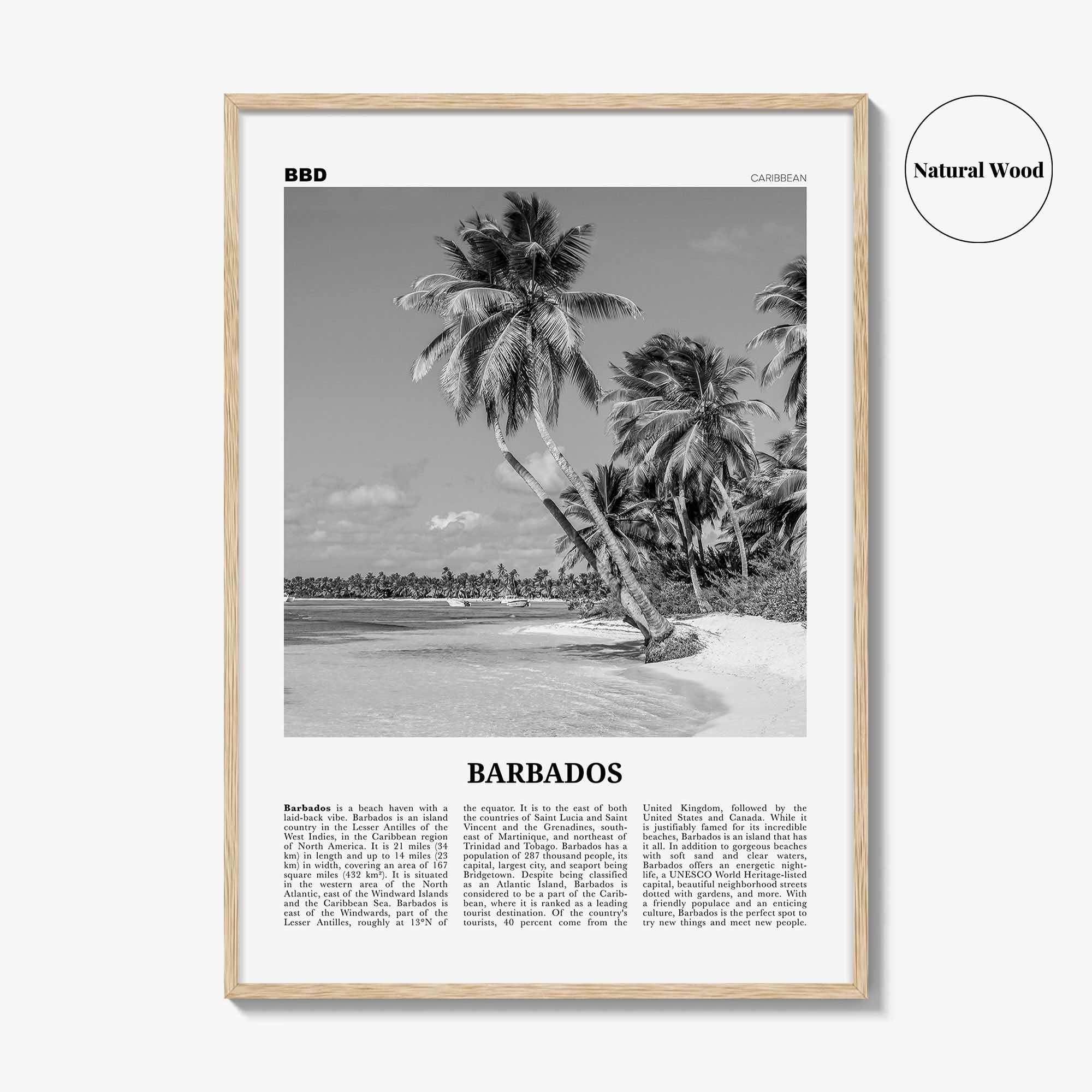 Barbados Print Black and White No 1, Barbados Wall Art, Barbados Poster, Barbados Photo, Barbados Wall Decor, Caribbean, America Bridgetown