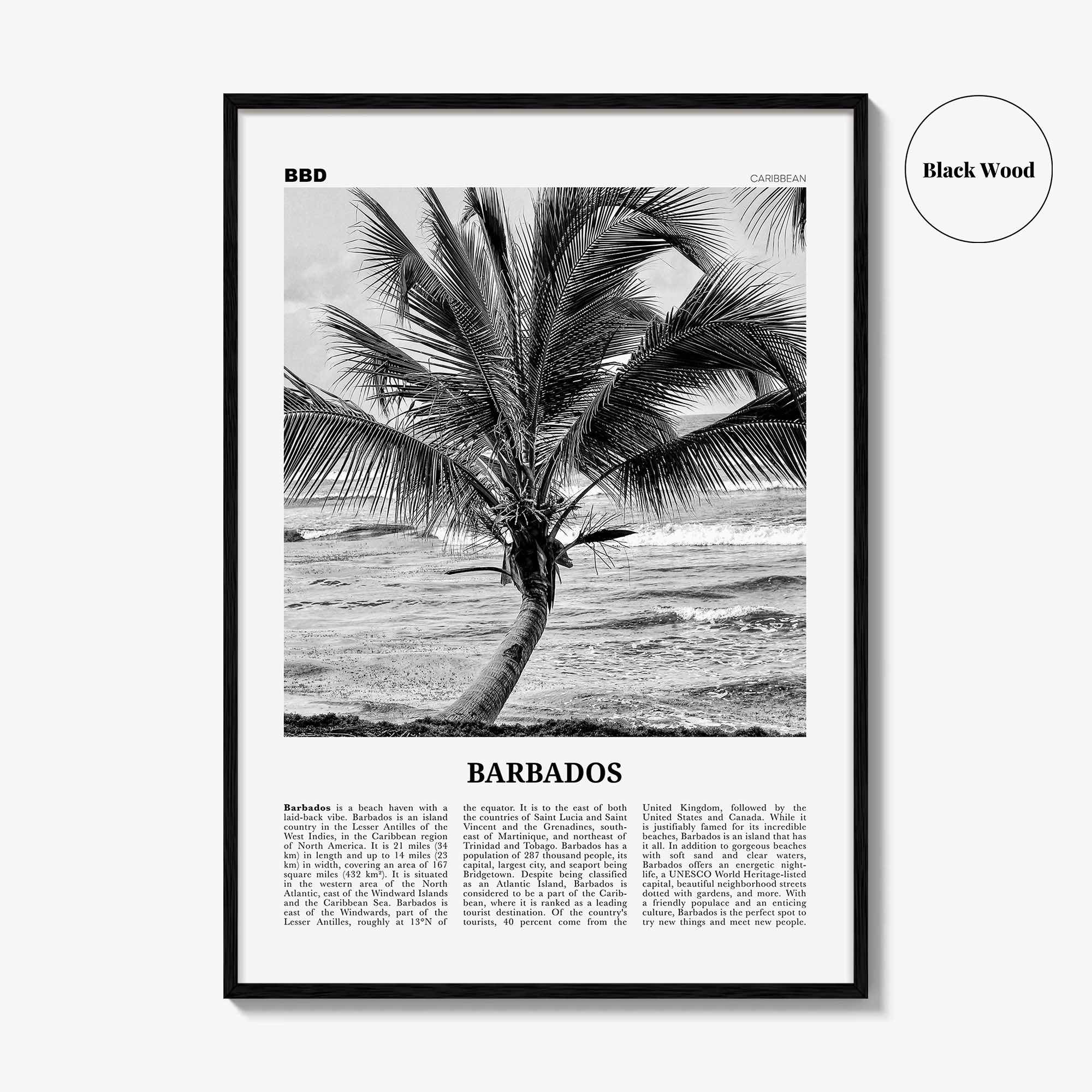 Barbados Print Black and White No 2, Barbados Wall Art, Barbados Poster, Barbados Photo, Barbados Wall Decor, Caribbean, America Bridgetown