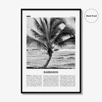 Barbados Print Black and White No 2, Barbados Wall Art, Barbados Poster, Barbados Photo, Barbados Wall Decor, Caribbean, America Bridgetown