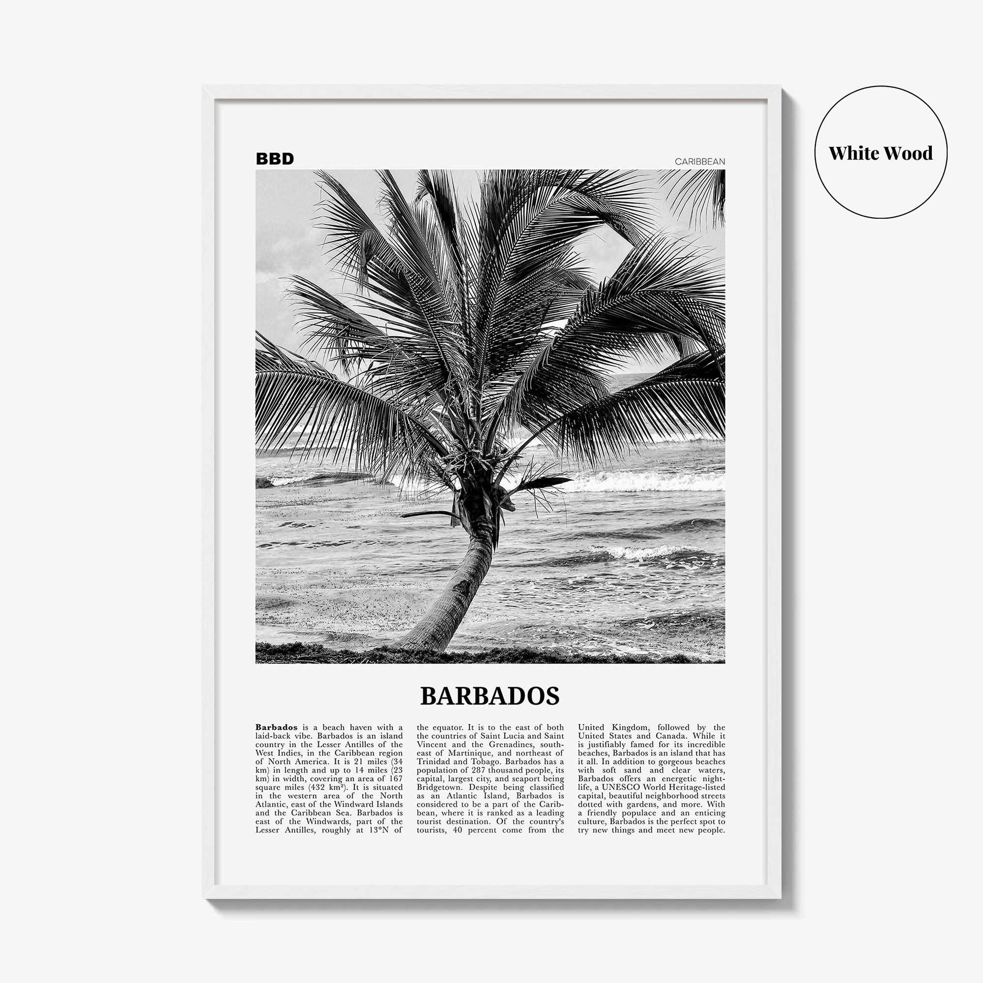 Barbados Print Black and White No 2, Barbados Wall Art, Barbados Poster, Barbados Photo, Barbados Wall Decor, Caribbean, America Bridgetown