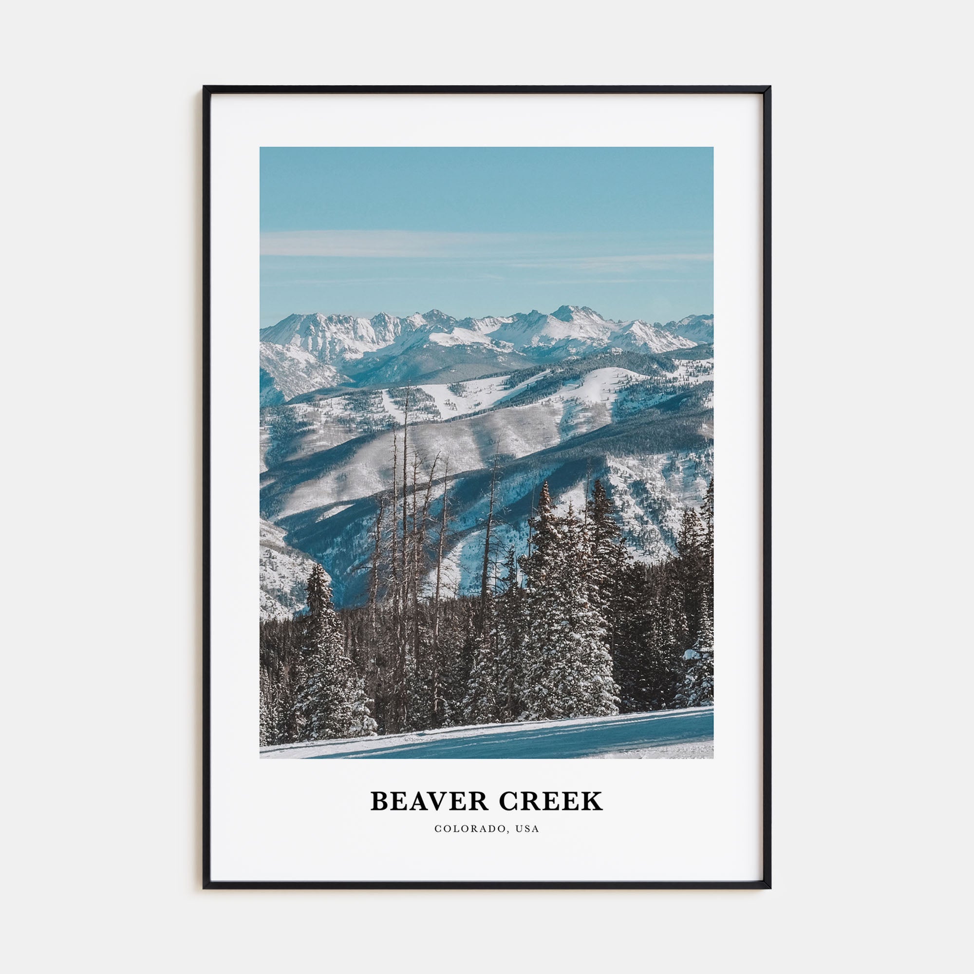 Beaver Creek Portrait Color Poster