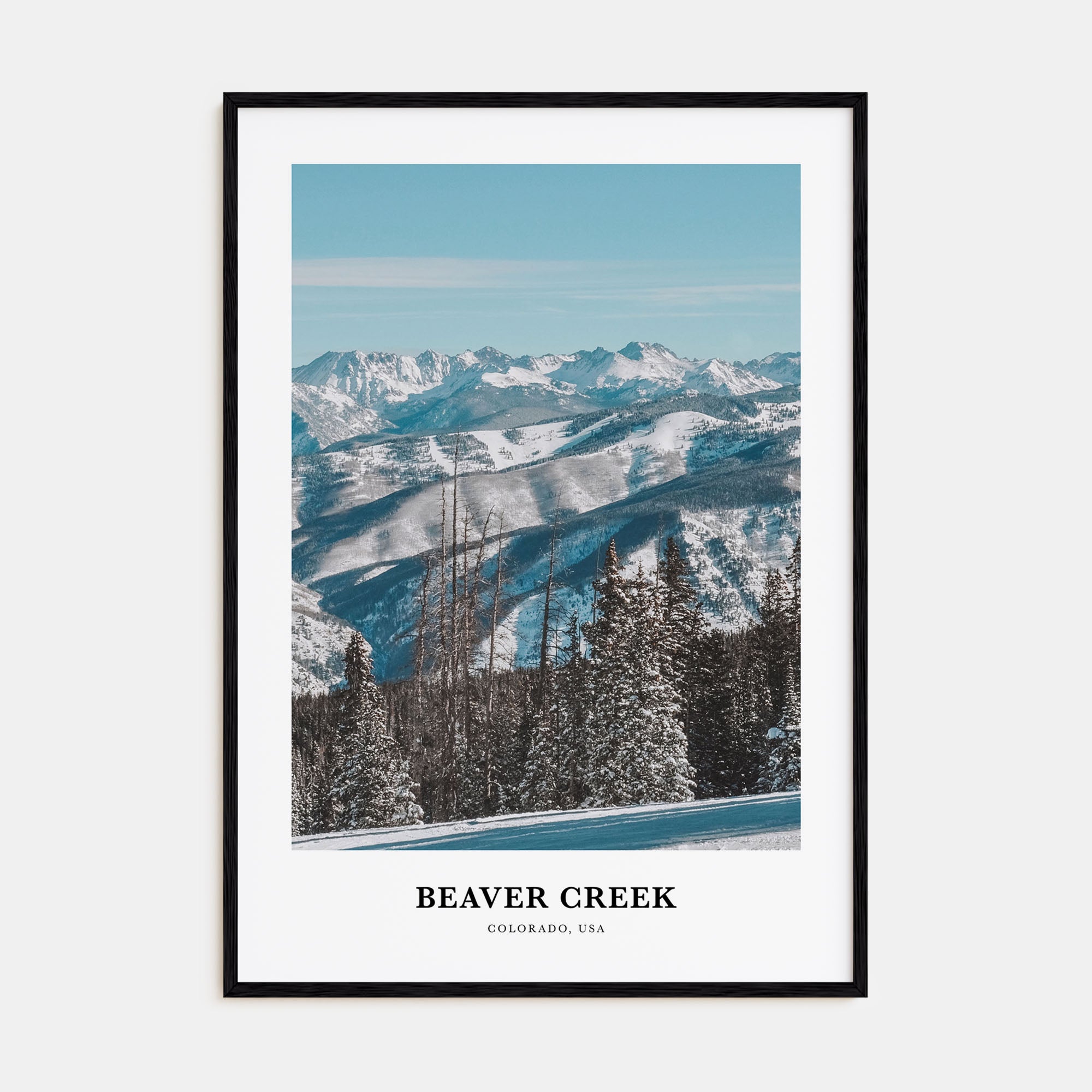 Beaver Creek Portrait Color Poster
