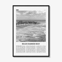 Belize Barrier Reef Print Black and White, Belize Barrier Reef Wall Art, Belize Barrier Reef Poster, Belize Barrier Reef Photo