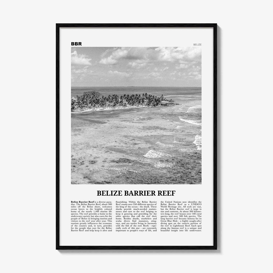 Belize Barrier Reef Print Black and White, Belize Barrier Reef Wall Art, Belize Barrier Reef Poster, Belize Barrier Reef Photo