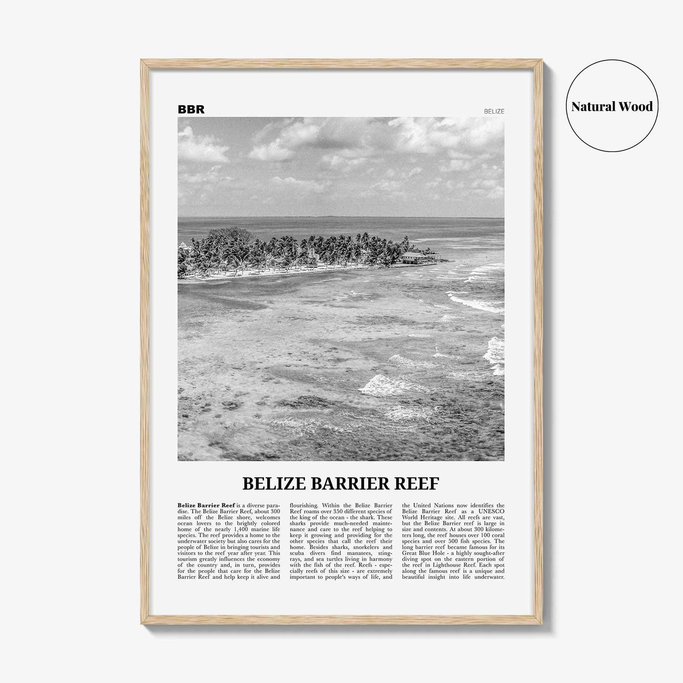 Belize Barrier Reef Print Black and White, Belize Barrier Reef Wall Art, Belize Barrier Reef Poster, Belize Barrier Reef Photo